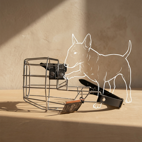 CHOPO Bullterrier Hündin verzinkt